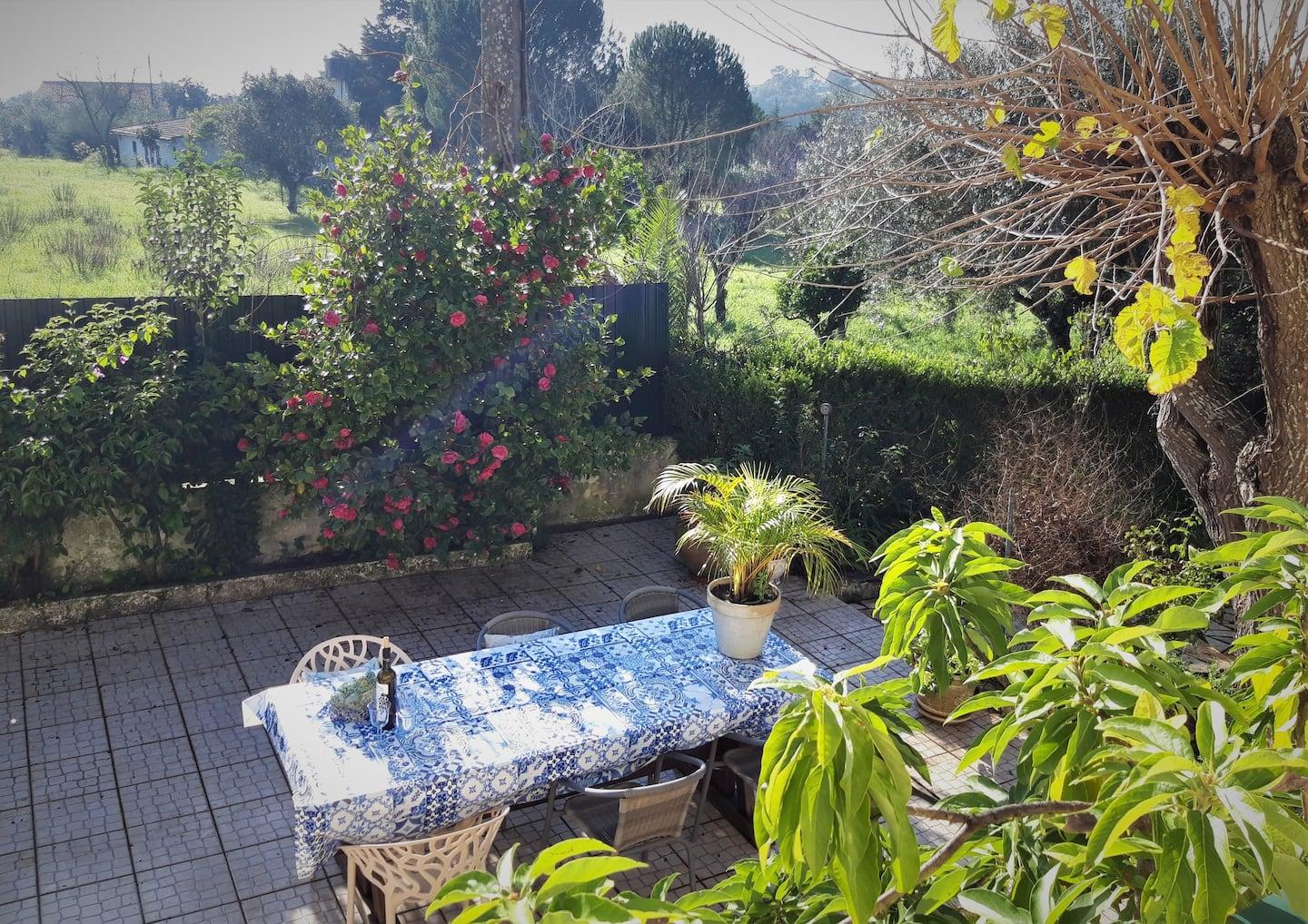 Casa Azul Tomar privé vakantiehuis + zwembad Esterno foto