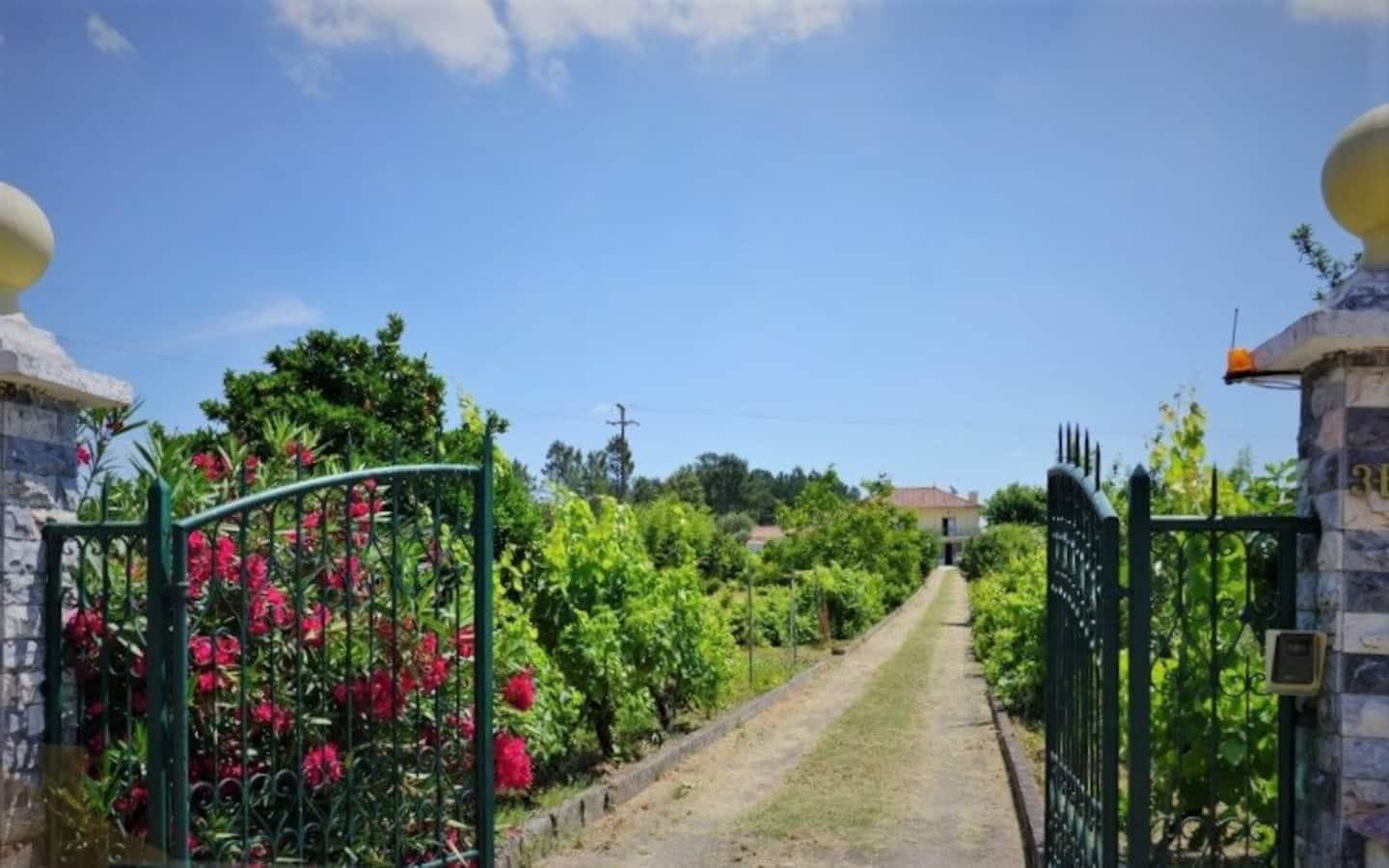 Casa Azul Tomar privé vakantiehuis + zwembad Esterno foto