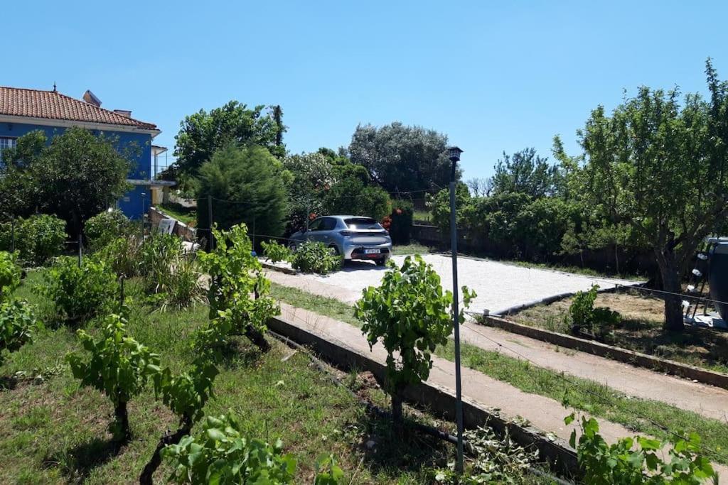 Casa Azul Tomar privé vakantiehuis + zwembad Esterno foto