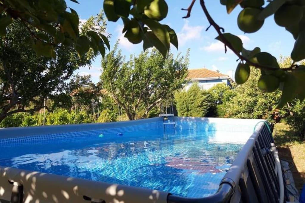 Casa Azul Tomar privé vakantiehuis + zwembad Esterno foto